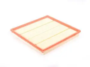 Genuine BMW Air Filter