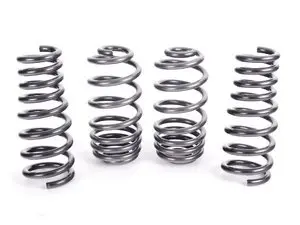 H&R Sport Spring Set - E70 X5 / E71 X6 (Without Self Leveling)