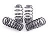 H&R H&R Sport Spring Set - E70 X5 / E71 X6 (Without Self Leveling) 50435-3 View 2