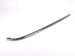 Genuine MINI Molding Side Panel - Rear Right - R56