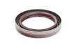 Elring Elring Front Crankshaft Seal - M20, M60, M62, S50, S52, S62 engines 11141275466 View 2