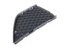 Genuine BMW Genuine BMW Closed Grid, Right Schwarz - 51113416206 - E83 51113416206 View 1