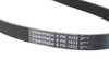 Continental Multi Rib Accessory Belt 11287518250 View 3