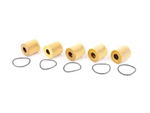 Oil Filter Kit With O-Ring - 5 Pack