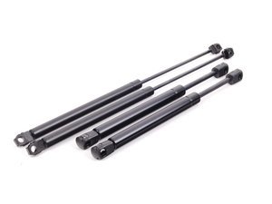 Hood And Trunk Strut Kit