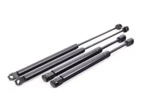 Hood And Trunk Strut Kit