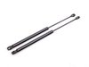 Stabilus Hood And Trunk Strut Kit 51238119558KT View 5