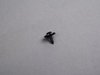 Genuine BMW Genuine BMW Complete Belly Pan Installation Hardware Kit - E90 E92 335i 335is E92BELLYPANKT View 27
