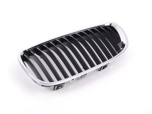 Genuine BMW Kidney Grille - Left