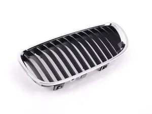 Genuine BMW Kidney Grille - Left