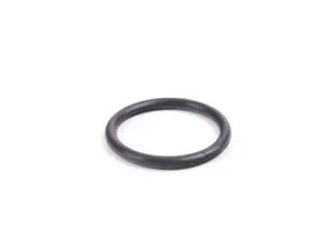 Victor Reinz O-Ring 