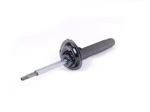 Strut Assembly - Right