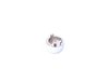 Genuine MINI Genuine MINI Chrome Line Emergency Brake Handle 34406774436 View 11