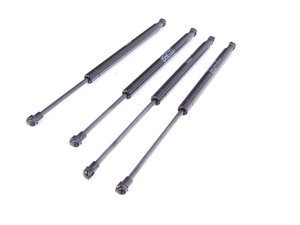 BMW E90 Hood And Trunk Strut Kit