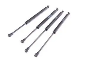 BMW E90 Hood And Trunk Strut Kit