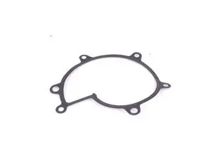 Victor Reinz Water Pump Gasket - E39