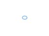 Genuine MINI O-Ring  13627515272 View 1