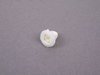 Genuine MINI Expanding nut - priced Each 51127046911 View 1