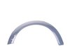 Genuine MINI Genuine MINI Cover For Wheel Arch Primed - Front Left 51777216071 View 1