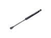 Febi Febi Hood Gas Strut - E46 51238202688 View 1