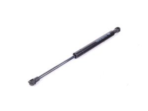 Febi Hood Gas Strut - E46