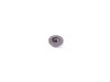 Genuine MINI Hex Plate With Nut - Priced Each 07146970706 View 2