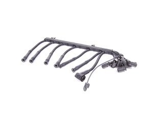 Karlyn Ignition Wire Set - Right - E31