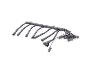 Karlyn Ignition Wire Set - Right - E31
