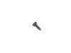 Genuine MINI FILLISTER HEAD SELF-TAPPING 07143448498 View 3