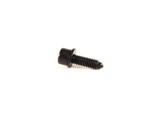 Genuine BMW Fillister Head With Washer - 07119906086