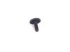 Genuine MINI Torx Bolt - Priced Each 07146959923 View 3