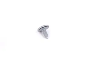 Torx Bolt with washer - Priced Each