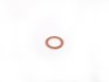 Fischer and Plath Fischer and Plath Fuel Pipe Gasket Ring - E21 07119963042 View 1
