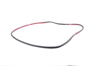 Genuine BMW Front Door Seal - E60 E61