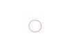 Genuine MINI Genuine MINI O-Ring 45,7X2,62 - 13537528346 13537528346 View 2