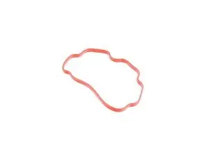 Elring Crank Case Vent Valve Gasket - M60 M62