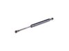 Junior Gas Spring Gas Spring - Priced Each 52107069970 View 1