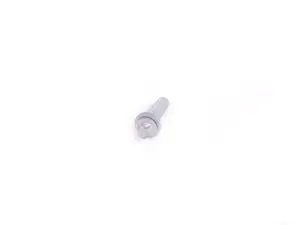 Genuine BMW Torx Screw - M10x40