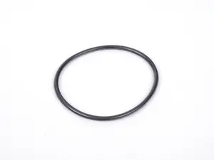 O-Ring 751.830