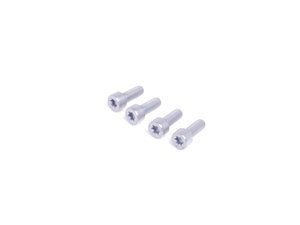 Fillister Head Screw - Pack Of 4