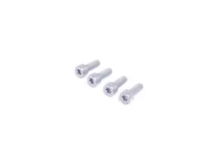Fillister Head Screw - Pack Of 4