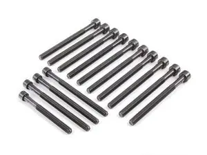 Genuine BMW Cylinder Head Bolt Set - N52 3.0L