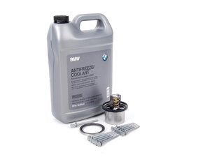 Thermostat Replacement Kit - E39 M5