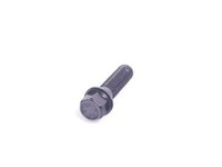 Turner Motorsport Wheel Bolt for BMW - 14x1.50 - Black - E53, E65, E83 TMS184007