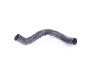 Radiator Hose - Lower 
