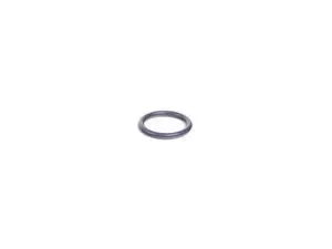 Genuine BMW O-ring - 11417508288