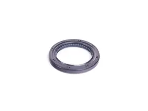 Torque Converter Seal