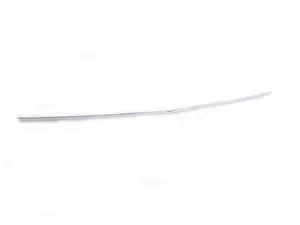 Genuine BMW Trim Decorative Strip 51131804113