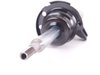 Genuine BMW Genuine BMW Front Strut Assembly - Right 31316796156 View 3