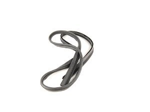 Genuine BMW Sunroof Frame Gasket - E36
